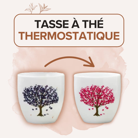 Tasses à thé thermostatiques